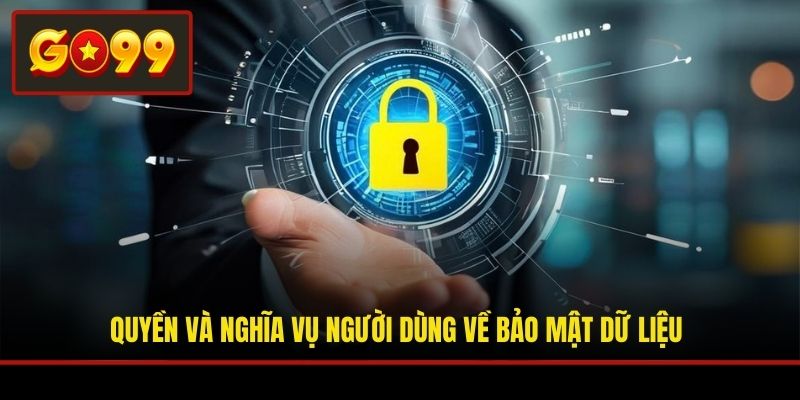 Quyền và nghĩa vụ người dùng về bảo mật dữ liệu