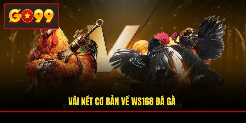 Vài nét cơ bản về WS168 đá gà